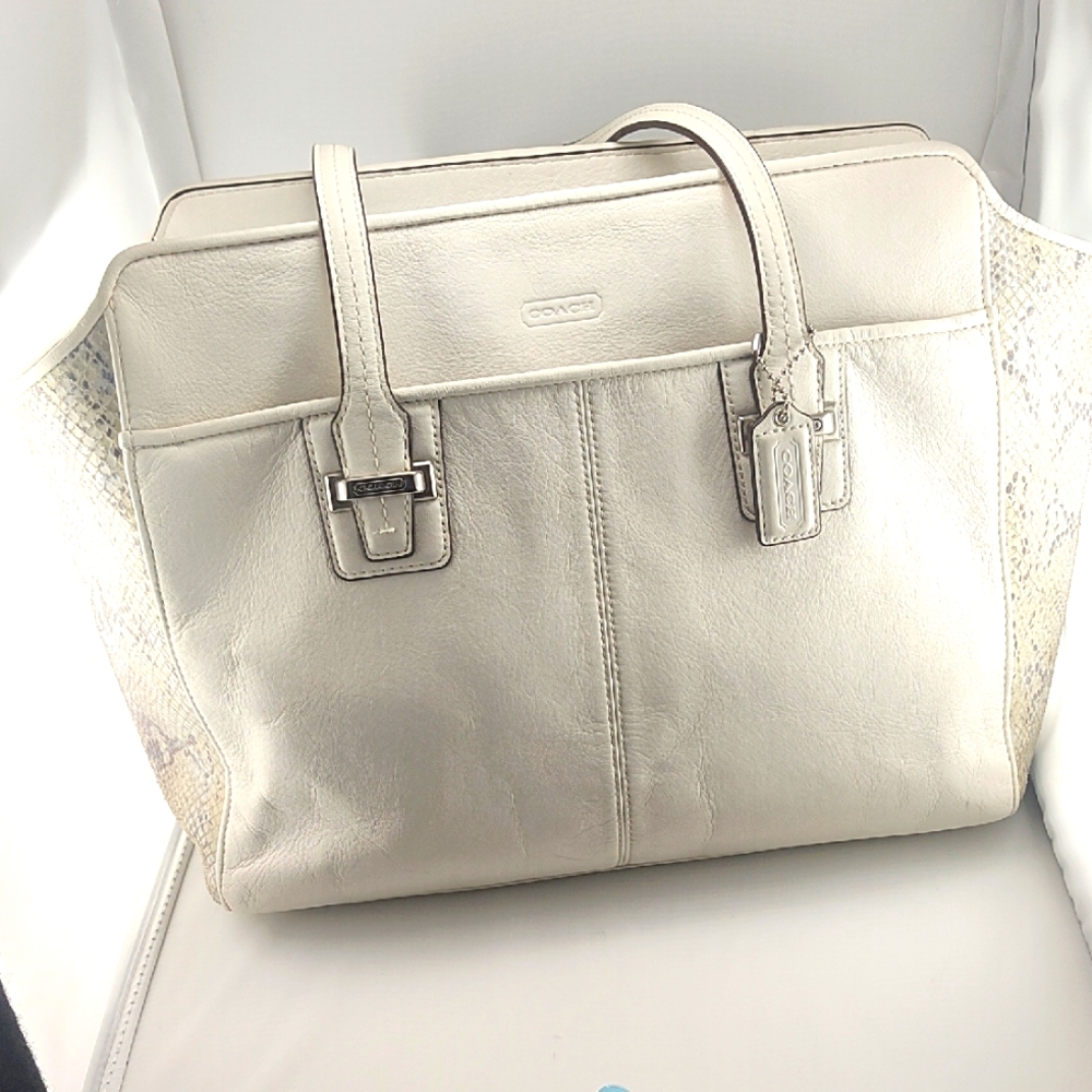 Coach Metallic Tote Bag